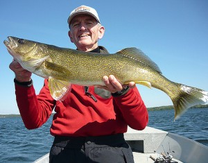walleye-rainylakefishing
